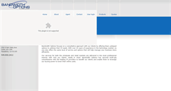 Desktop Screenshot of bandwidthoptions.net